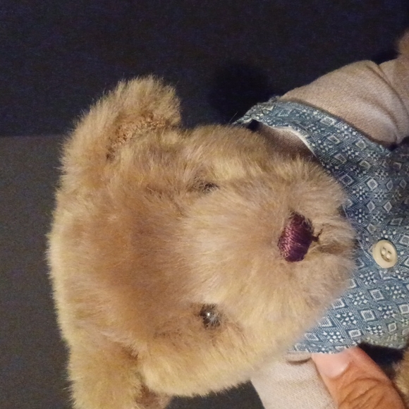 Plush Brown Bear - Picture 3 of 6